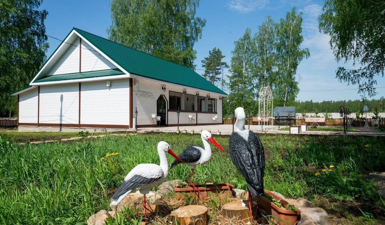 Оздоровительный комплекс «Рябеевская поляна» Тверская область, фото 6