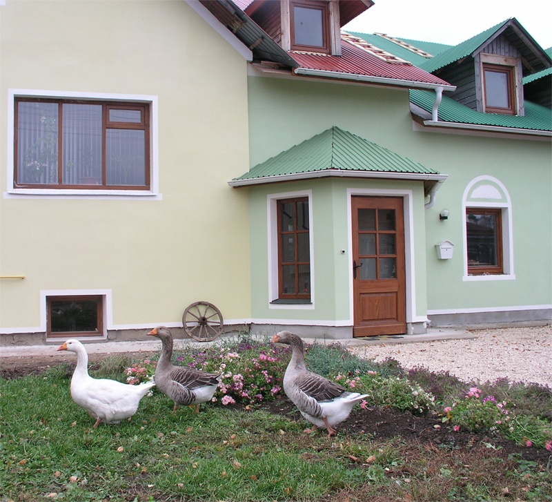  Гостевой дом Суриковых Владимирская область, фото 3