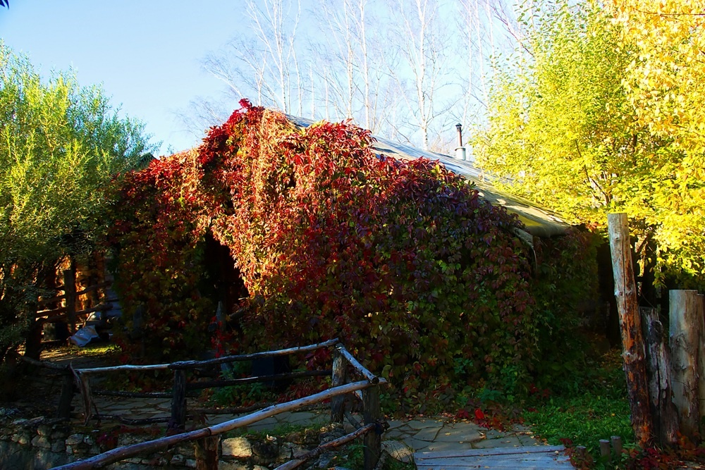 Гостиничный комплекс «Печки-Лавочки» Суздаль Владимирская область: цены ...