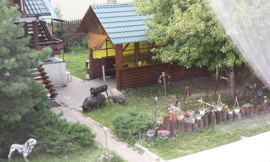 Гостевой дом «На Покровке» Владимирская область, фото 4