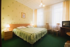 Hotel complex «Svyatogor» Vladimir oblast Dvuhmestnyiy «Standart» s 1 ili 2 krovatyami, фото 4_3