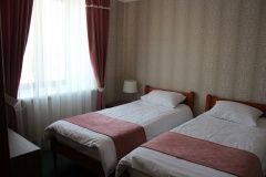Hotel complex «Borovnitsa» Ryazan oblast Standart