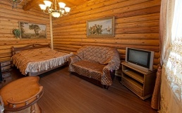 Club-hotel «Razdole» Bryansk oblast Nomer «Lyuks Grecheskiy 1»
