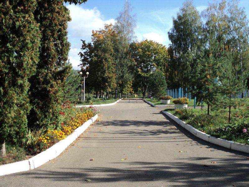 База отдыха «Шилово» Тульская область, фото 3