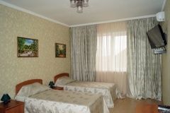 Country hotel complex «Jar-ptitsa» Tula oblast Nomer «Standartnyiy»