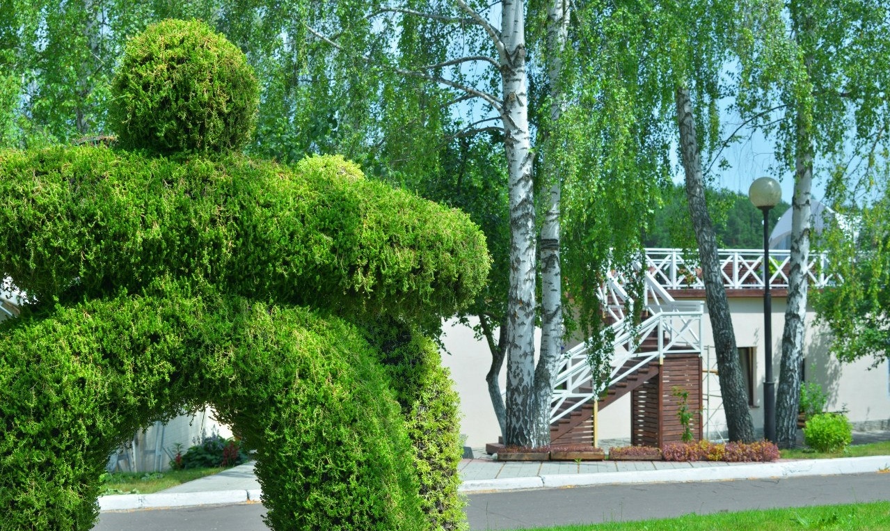 Парк отель Орловская область