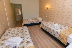 Park Hotel Moscow oblast Standart trehmestnyiy