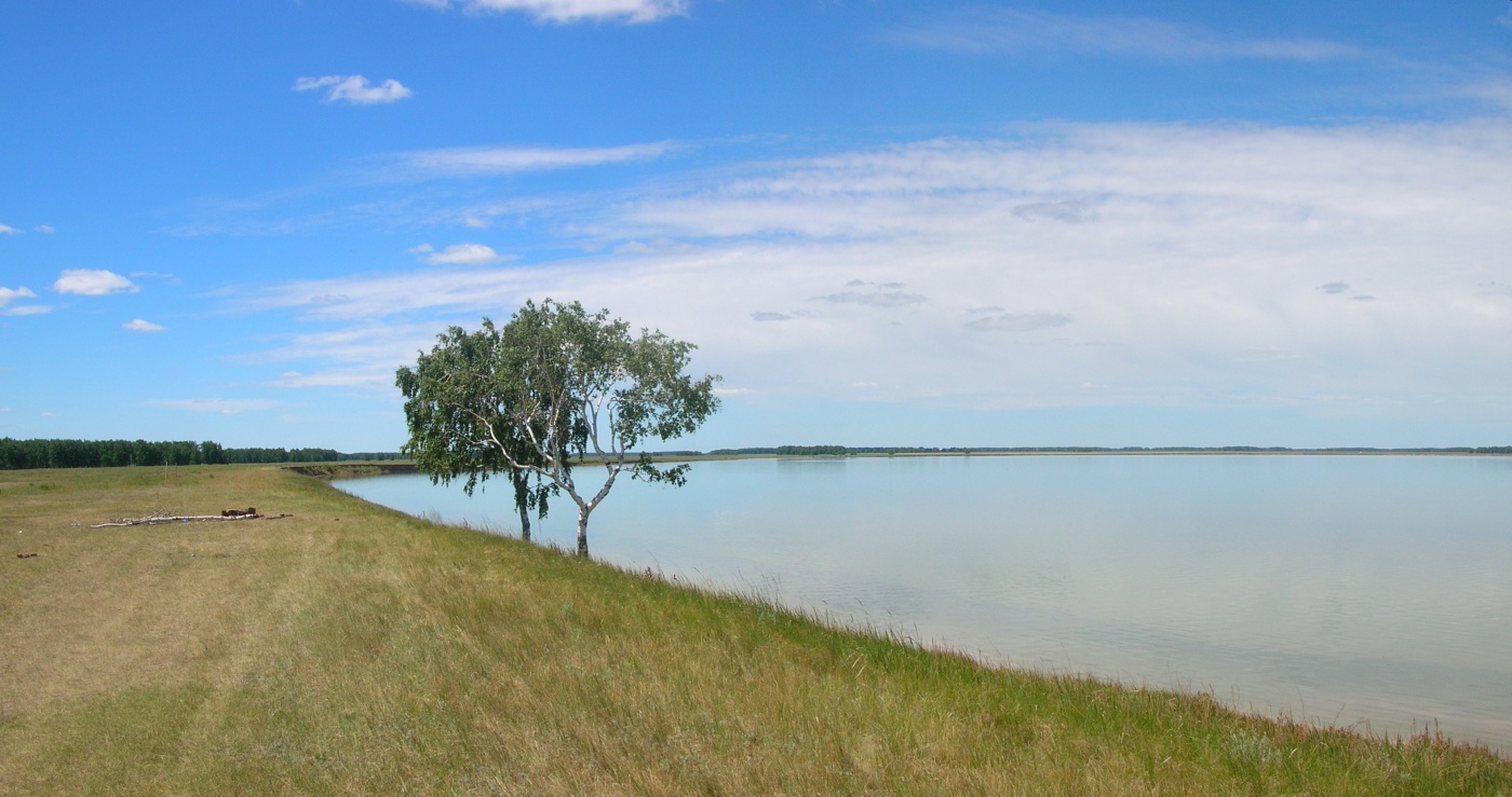 База отдыха «Озеро Горькое» Новосибирская область, фото 7