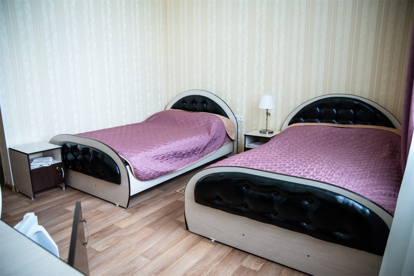 Sanatorium «Ozero Karachi» Novosibirsk oblast Junior Suite Twin, фото 1