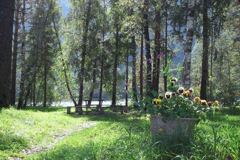 Туристический комплекс «Корогон» Республика Алтай, фото 10