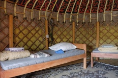 Camping «Tyidtuyaryik – Golden Camel» The Republic Of Altai Jana yurt, фото 3_2