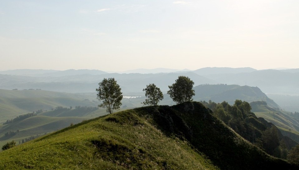 Знакомство Алтайский Край Фото