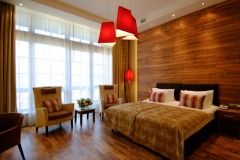 Hotel complex «Polyana 1389 Otel i SPA» Krasnodar Krai Nomer "Studiya"