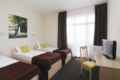 Hotel «Green Flow» Krasnodar Krai Nomer 3-mestnyiy