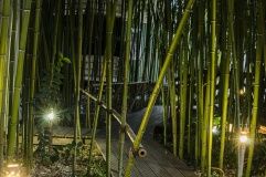 «Bambuk Hutor»_21_desc