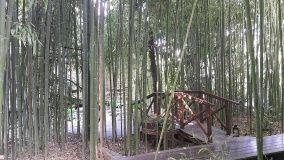 «Bambuk Hutor»_22_desc