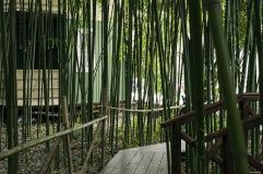 «Bambuk Hutor»_20_desc