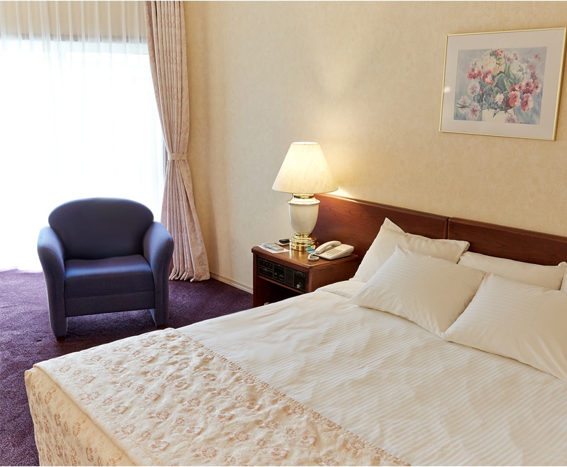  Отель «Санта Ризот» Сахалинская область Стандартный номер (с 1-ой кроватью), фото 1