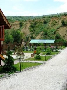 Отель «Жемчужина Арпата»_25_desc