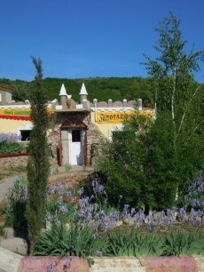 «Золотая подкова»_8_desc