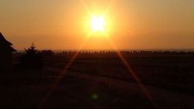 «Lavandina»_3_desc