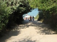 «Lavandina»_5_desc