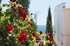Guest house «Villa Arnis» Republic Of Crimea 2-KOMNATNYIY "STUDIYA" (DO 5 CHELOVEK), фото 13_12