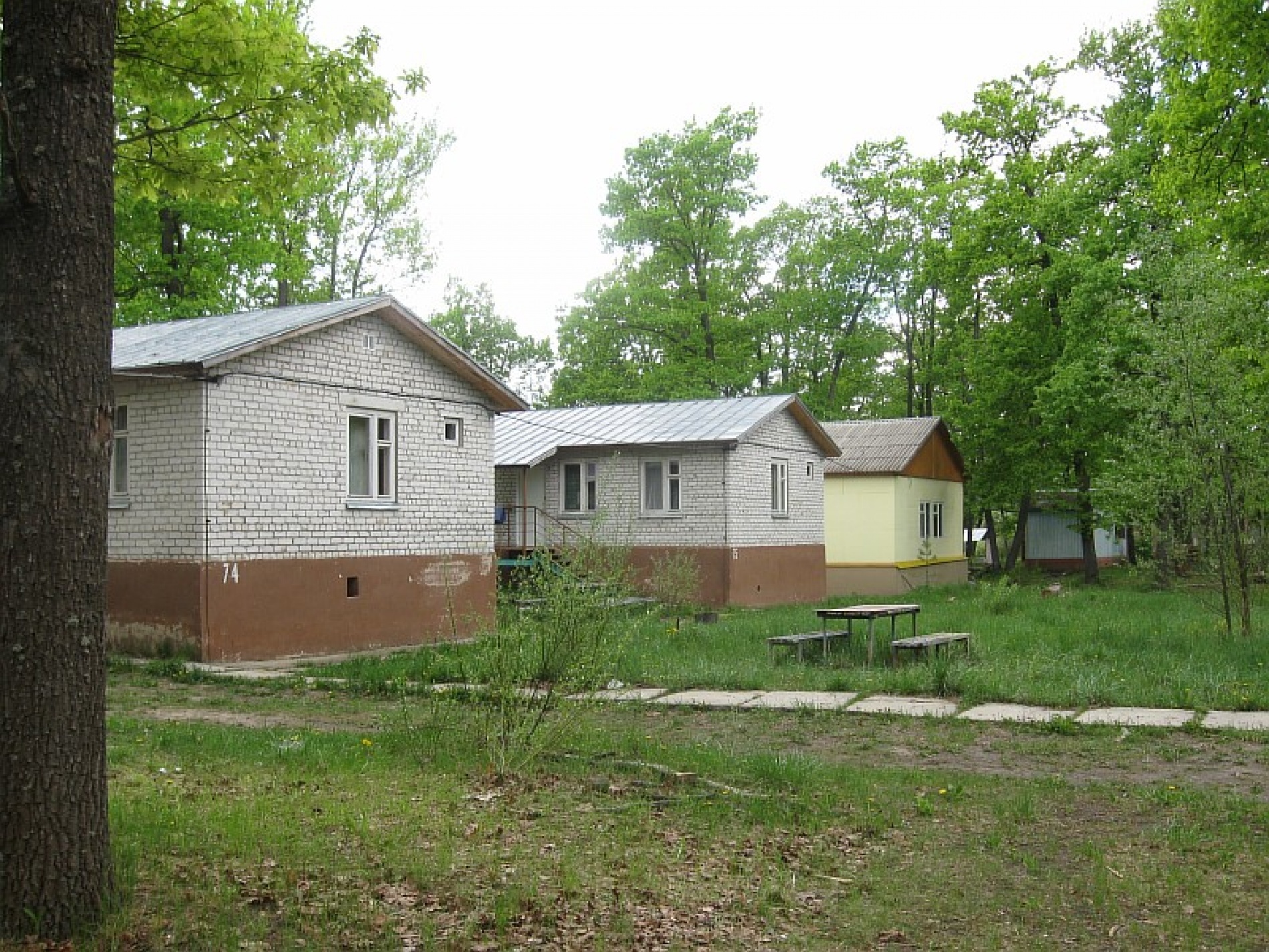 База отдыха «Золотой ключик» Воронежская область, фото 25