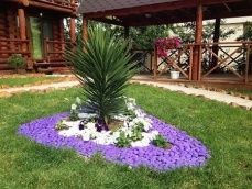 «Сосновый двор»_9_desc