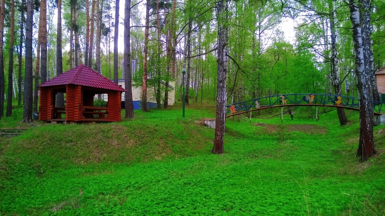 База отдыха «Дом Солнца» Нижегородская область, фото 6