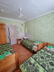 Park Hotel «Golubyie Eli» Irkutsk oblast 3-mestnyiy nomer v ekonom-korpuse, фото 4_3