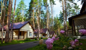 Recreation center «Sosnovyiy bor» Samara oblast
