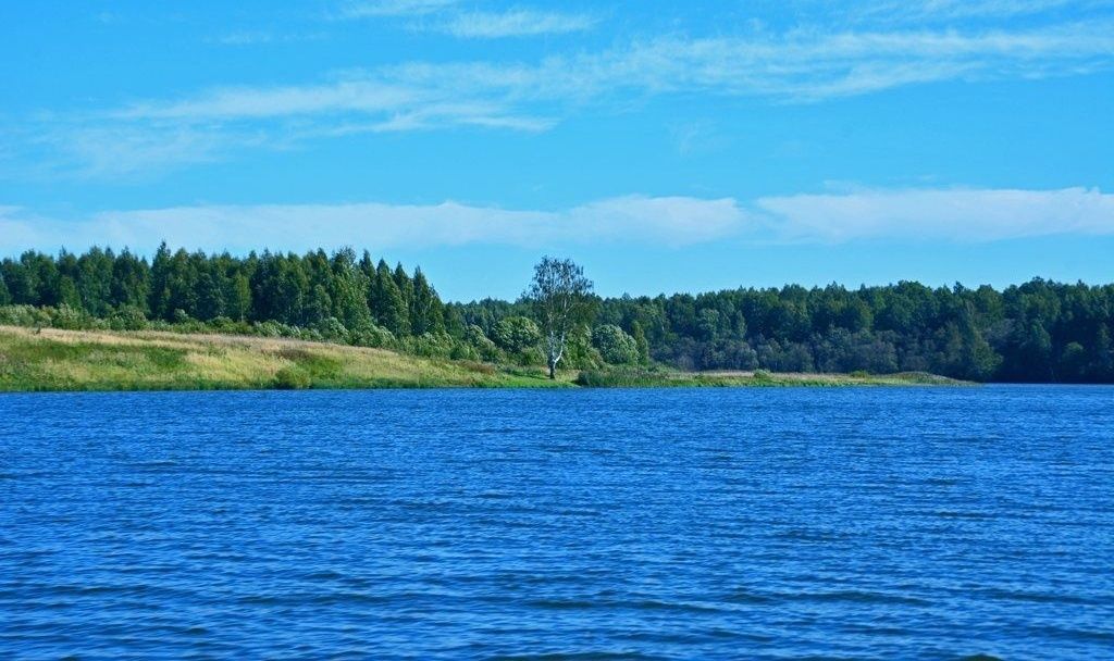 Водохранилища смоленска. Вазузское водохранилище Зазерки. Вазуза водохранилище. Вазузское водохранилище Смоленская область. Смоленская область водохранилище Вазуза.