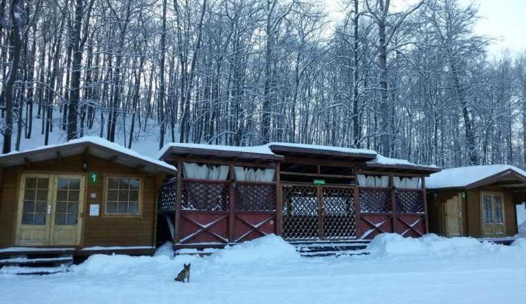 Sports and tourist base «Forest Park» Lipetsk oblast 