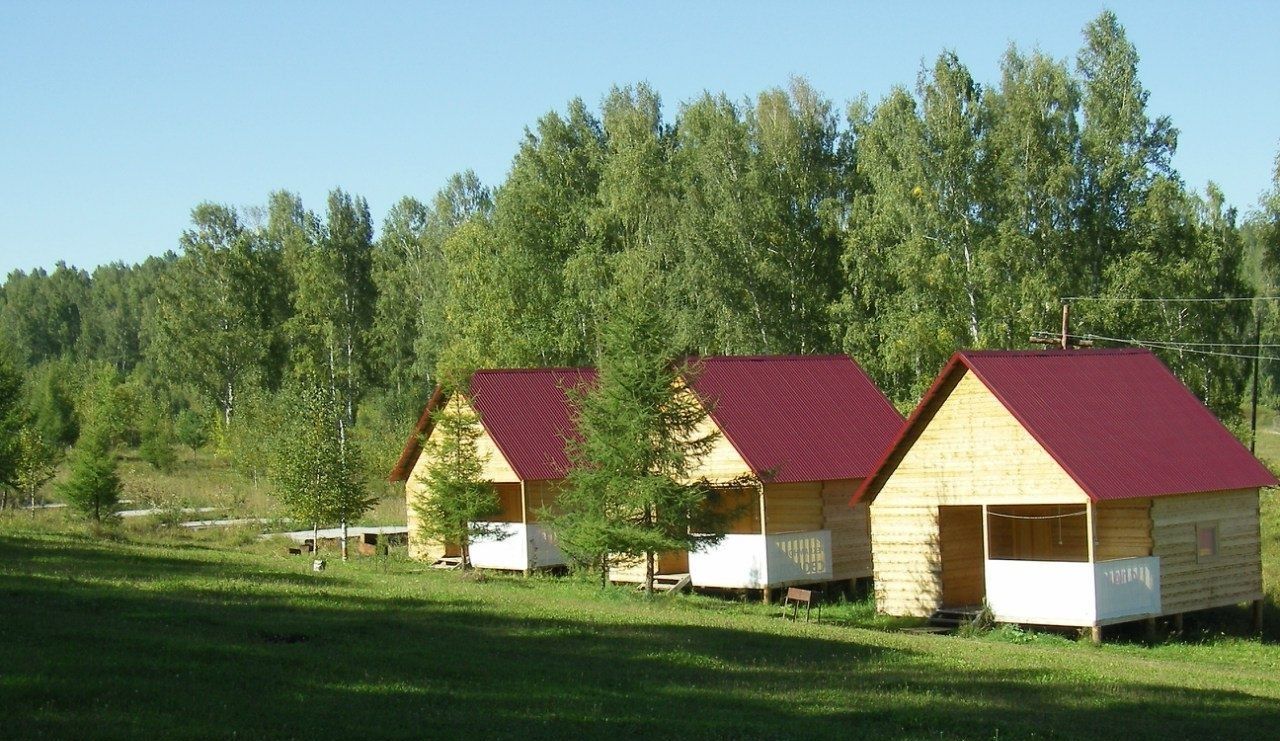База отдыха «Фестивальная поляна» Красноярский край, фото 1