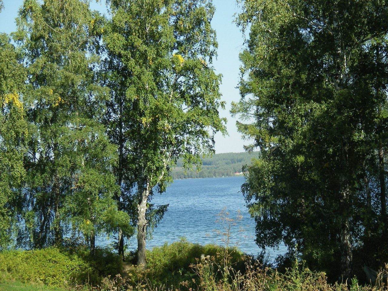 База отдыха Фестивальная Поляна на озере Инголь