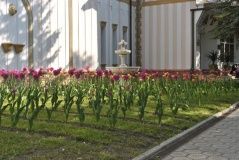 «Вилла Арнест»_3_desc