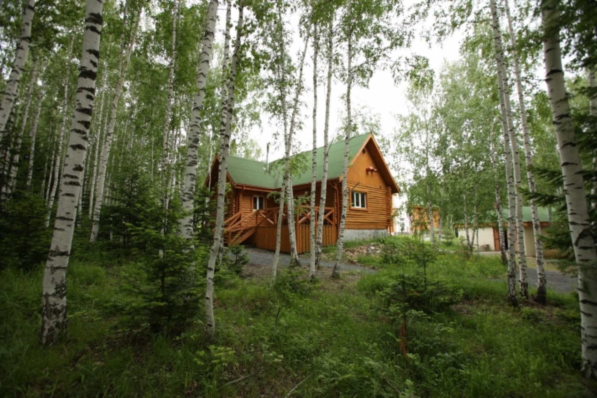 База отдыха «Зеленый дом» Новосибирская область, фото 5