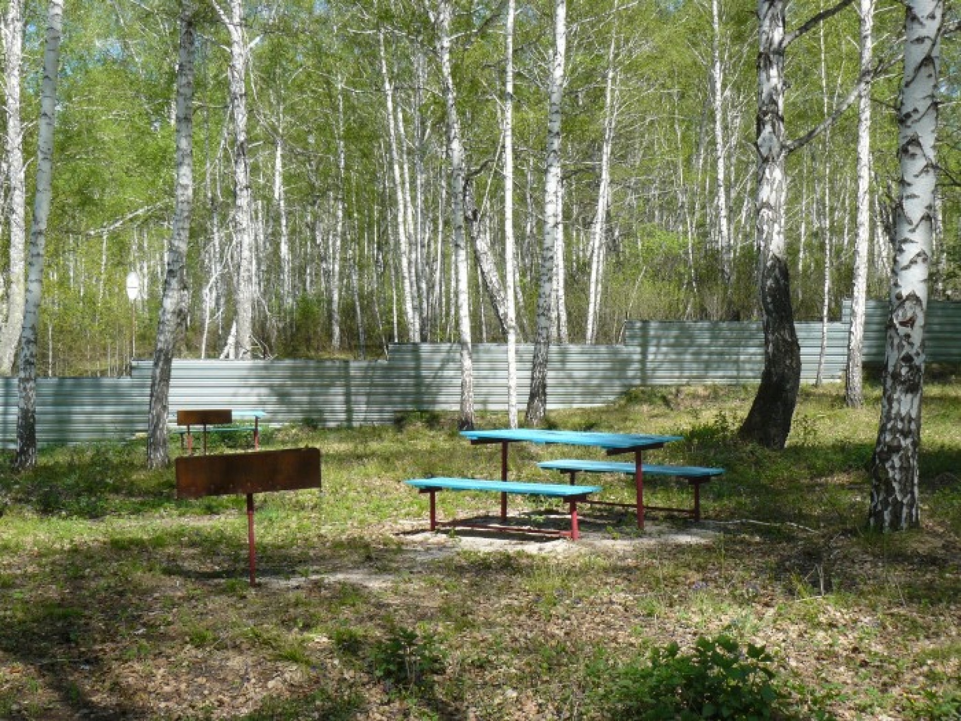 База отдыха База отдыха "Зеленая поляна" Новосибирская область, фото 19