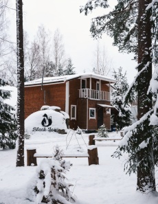 База отдыха «Black Fox» Ленинградская область Дом у камня, фото 3_2