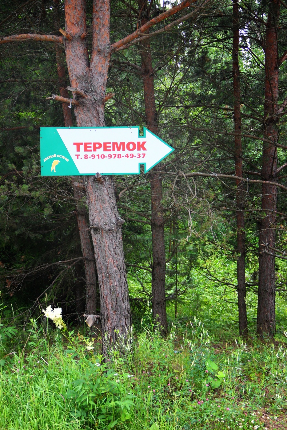 База отдыха «Лесной остров» Ярославская область Коттедж «Теремок», фото 17