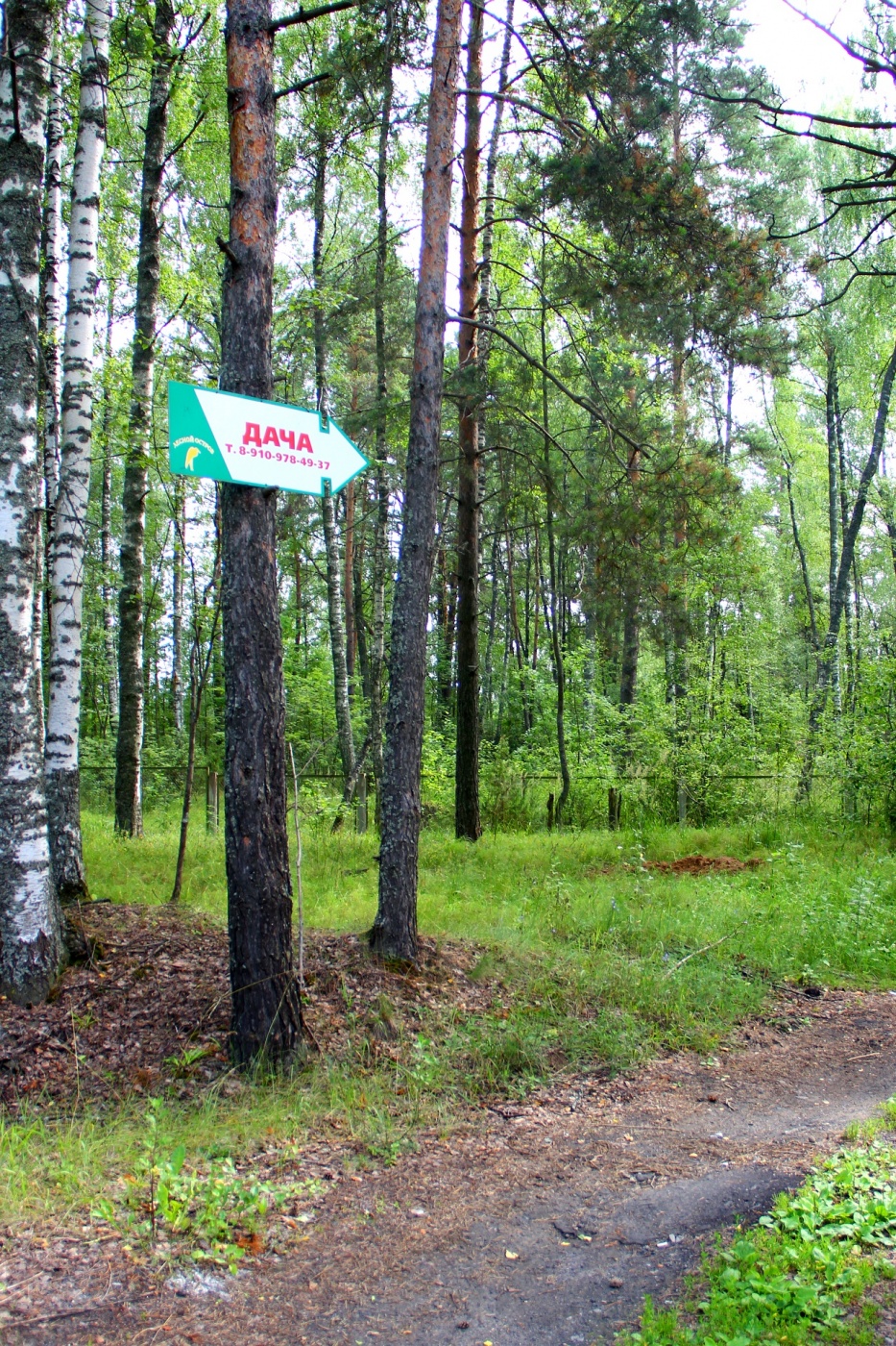 База отдыха «Лесной остров» Ярославская область Коттедж «Дача», фото 36