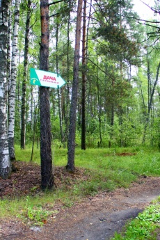 База отдыха «Лесной остров» Ярославская область Коттедж «Дача», фото 36_35