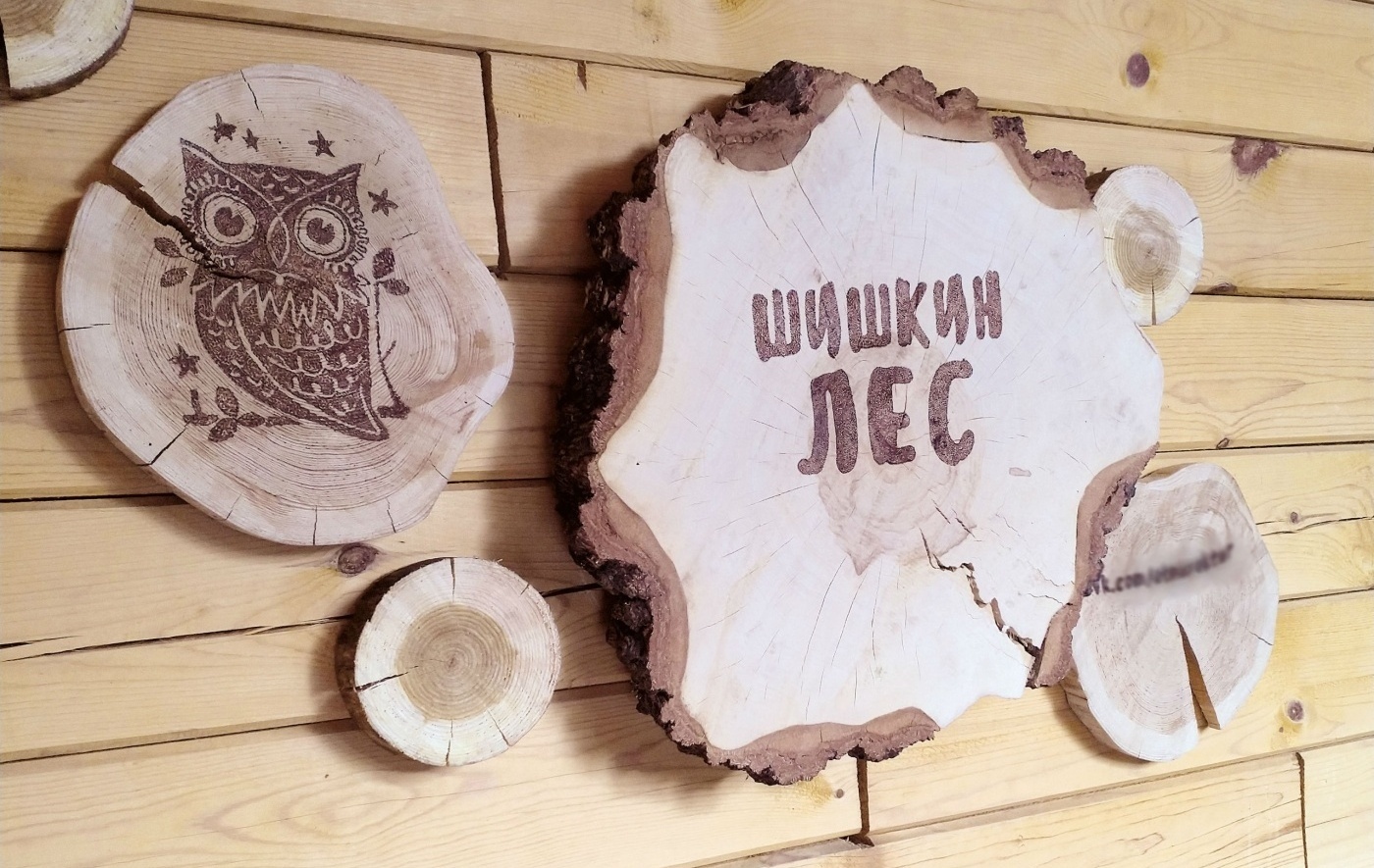 Гостевой дом «Шишкин лес» Республика Башкортостан, фото 11