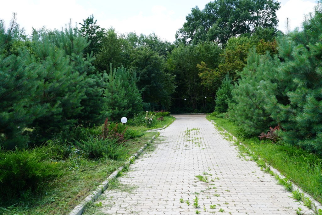 Парк-отель «Зелёные холмы» Краснодарский край, фото 7