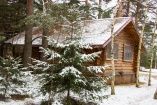 Summer cottage complex «Koprino» Yaroslavl oblast 2-mestnyiy domik № 12-15