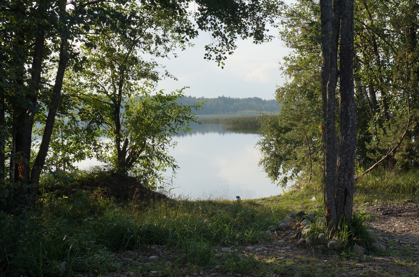 База отдыха «Озерная 38» Ленинградская область, фото 7