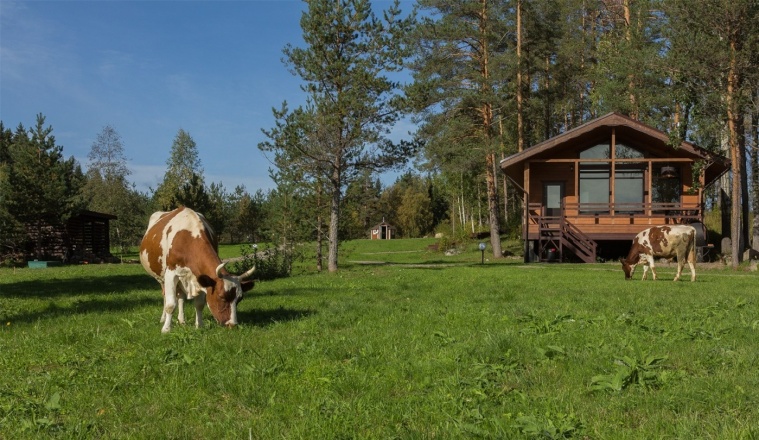 Park Hotel «Hutor YArvi» Republic Of Karelia 