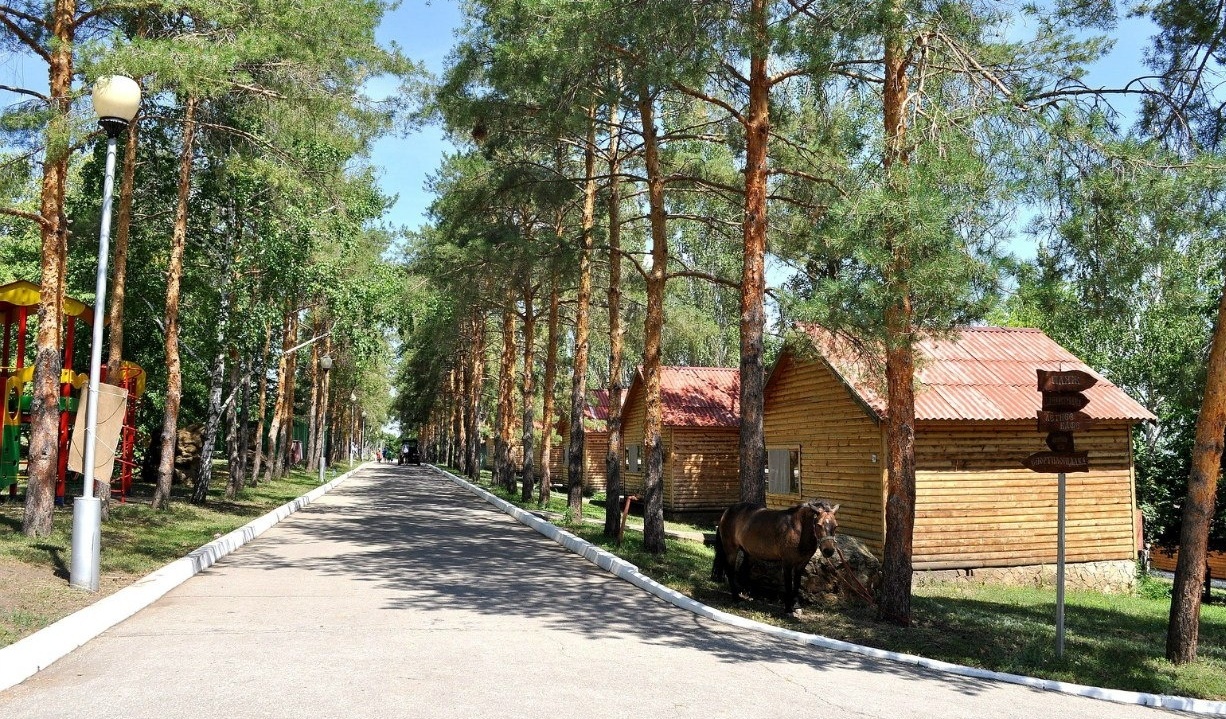 Загородный гостиничный комплекс «Авангард» Саратовская область, фото 8