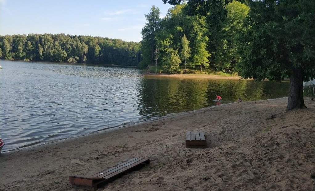 Берег истринского водохранилища. Ламишино пляж Истринское водохранилище. Истринское водохранилище Ламишино. Пляж в Ламишино Истра. Ламишино Истринский район пляж.